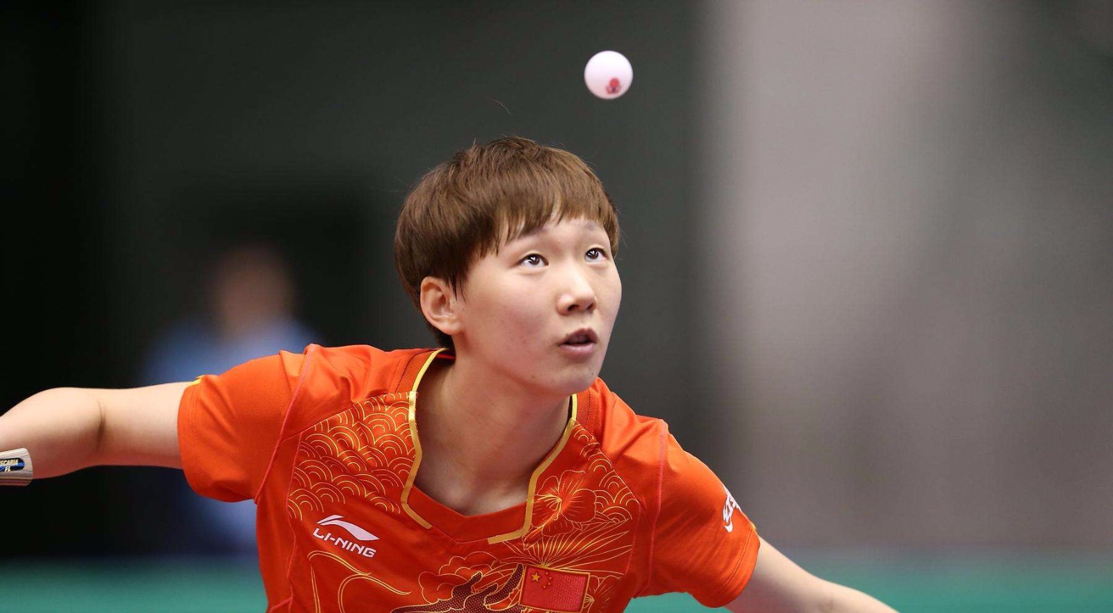 但由于宁波 但由于宁波