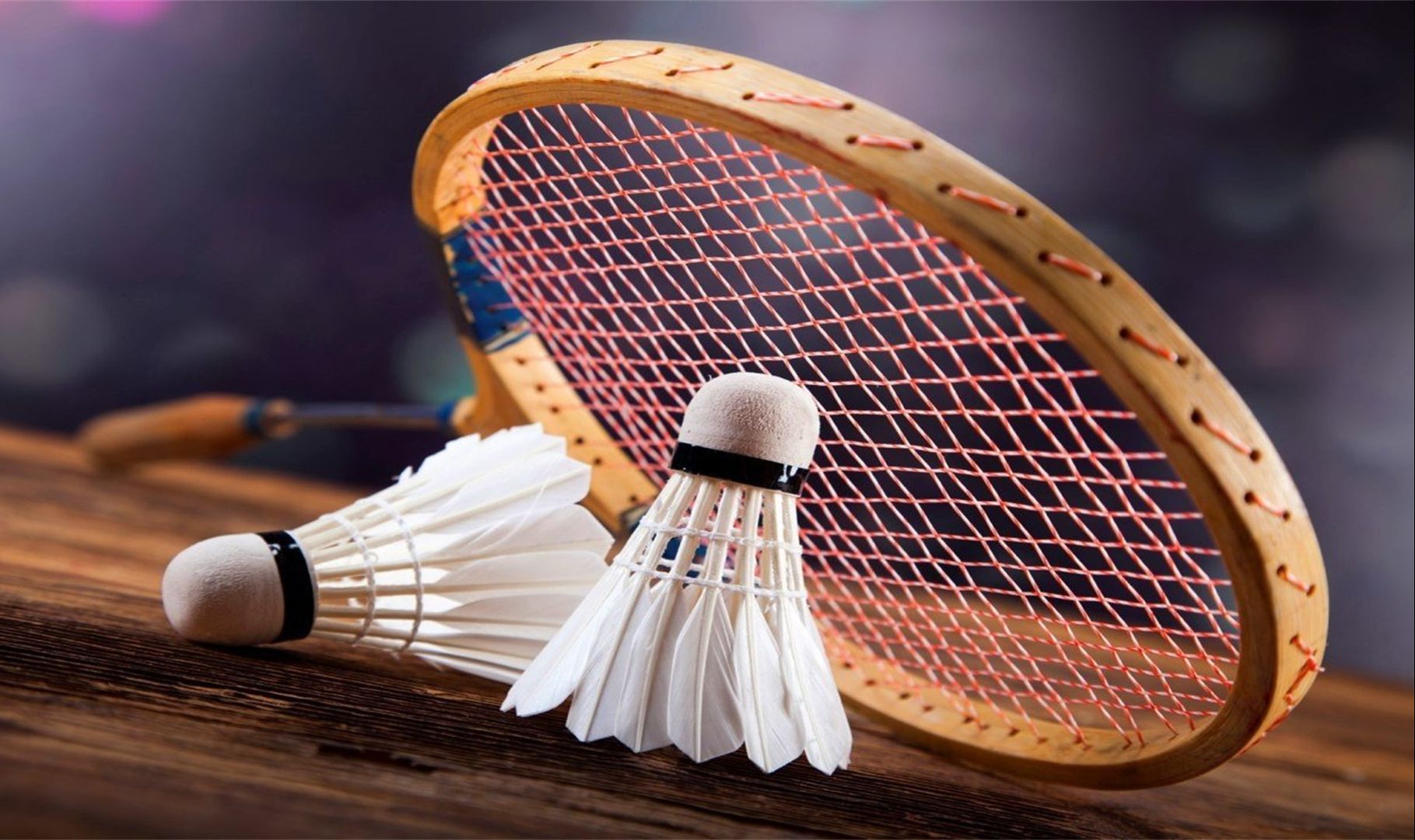 齐鲁大地以 齐鲁大地以