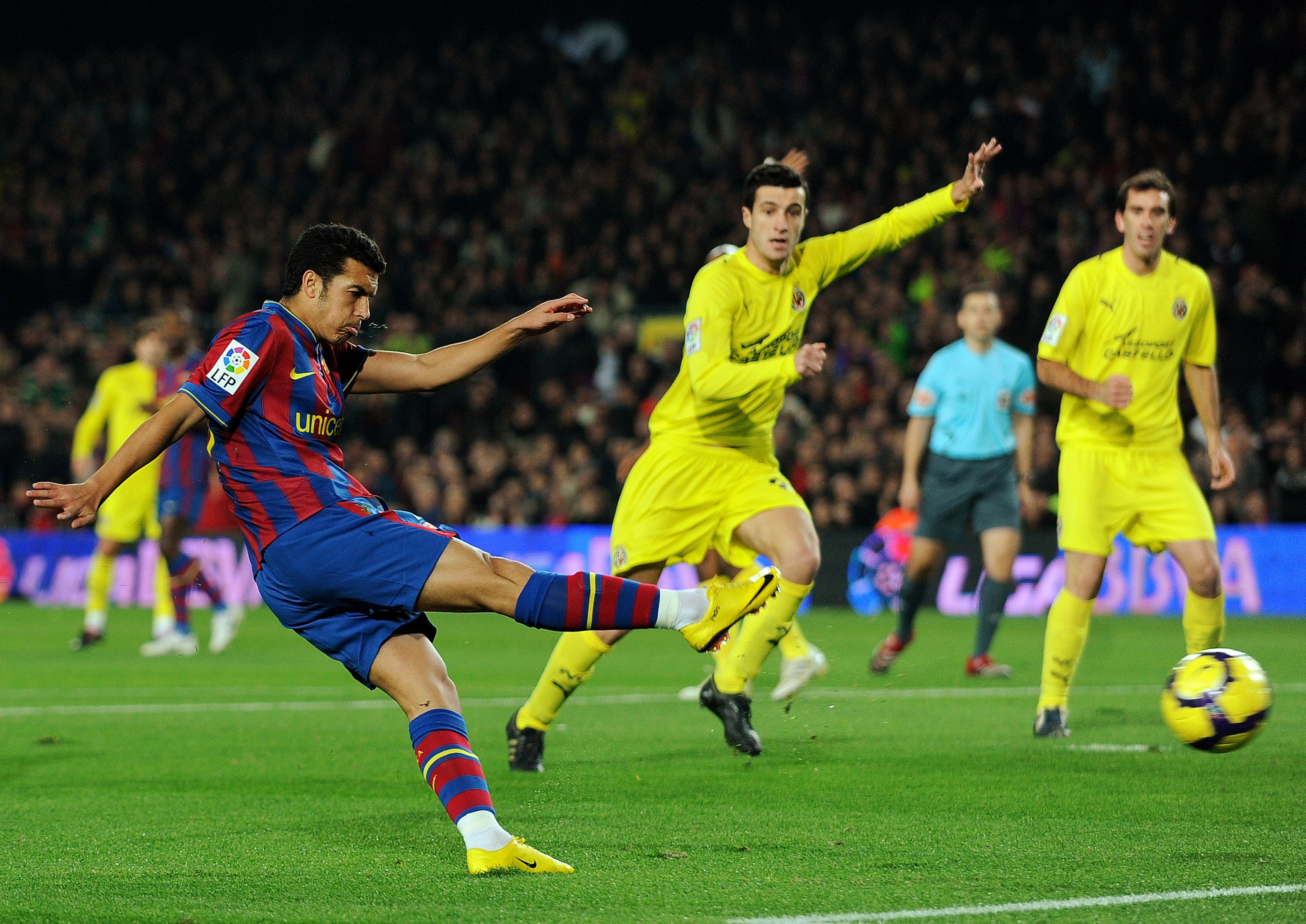 的佼佼者 的佼佼者